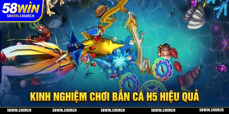 Kinh nghiệm chơi bắn cá H5 hiệu quả nhất được chia sẻ bởi 58WIN