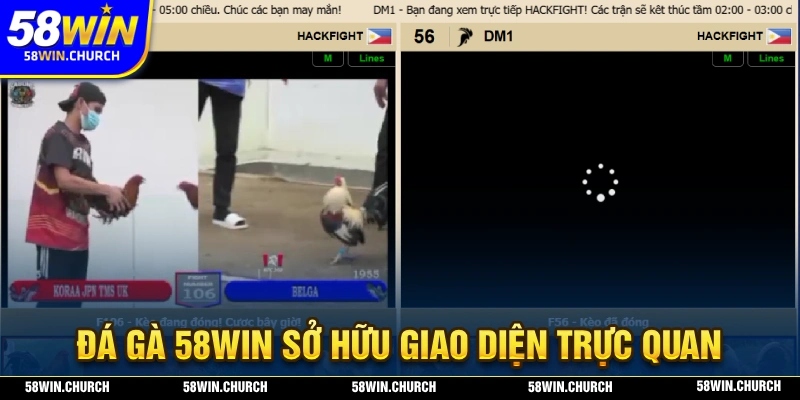 Đá gà 58WIN sở hữu giao diện trực quan giúp người chơi dễ dàng theo dõi và thao tác